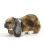 Lop Eared Rabbit (5530)