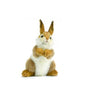 Thumper Rabbit (3316)